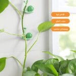 گیره گل رونده طرح حلزون بسته 10 عددی