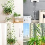 گیره گل رونده طرح حلزون بسته 10 عددی - Image 3